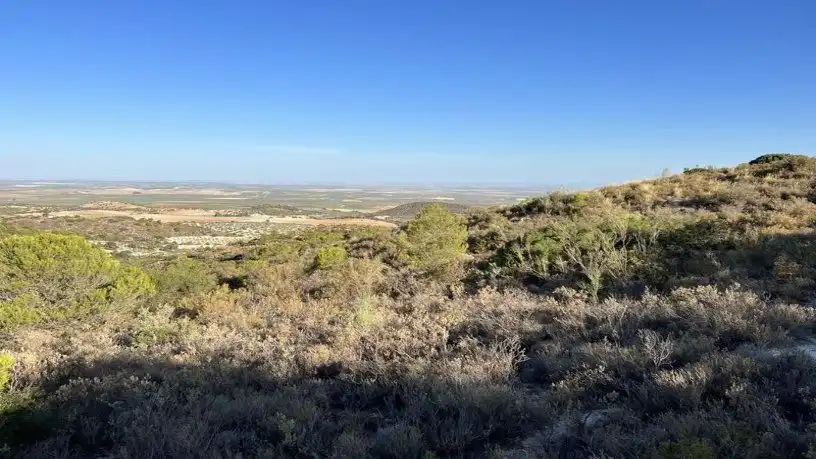 Finca rústica en venta en San Antonio O Guardarropa Pol 115.par 8,9 y 15, Osuna