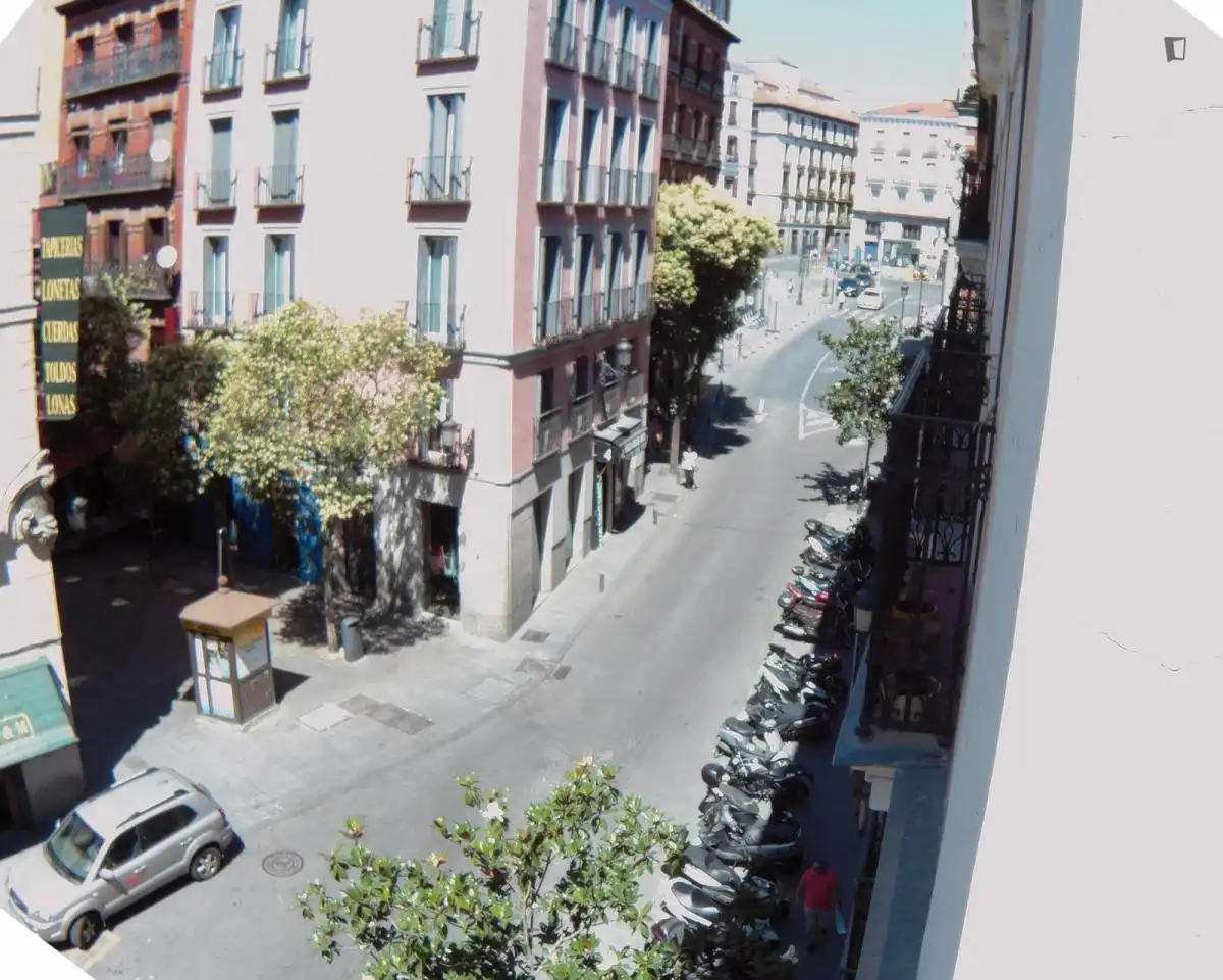 Apartamento en alquiler en Centro, imagen 19