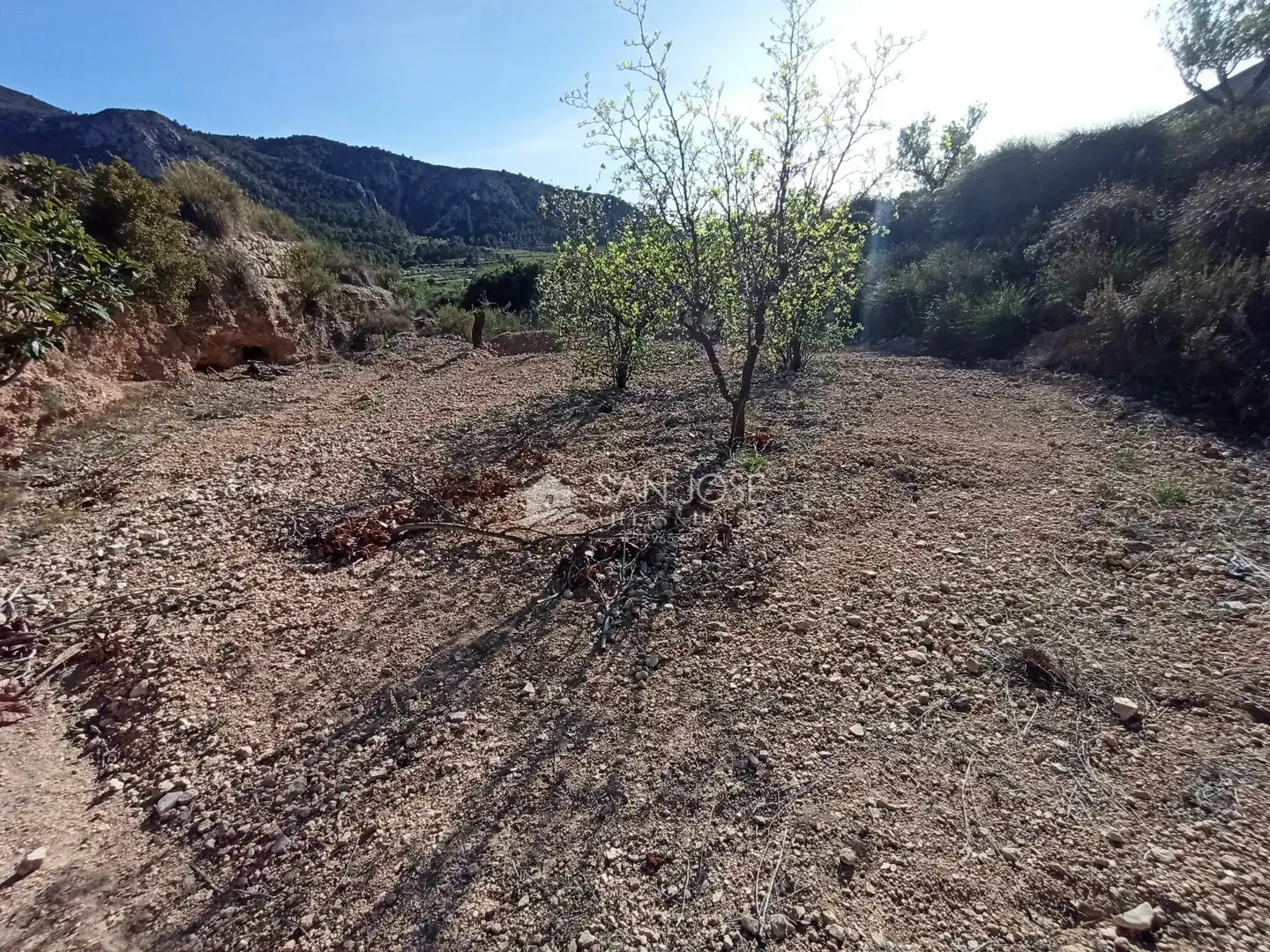 Terrain rustique à vendre à Algueña, imagen 14