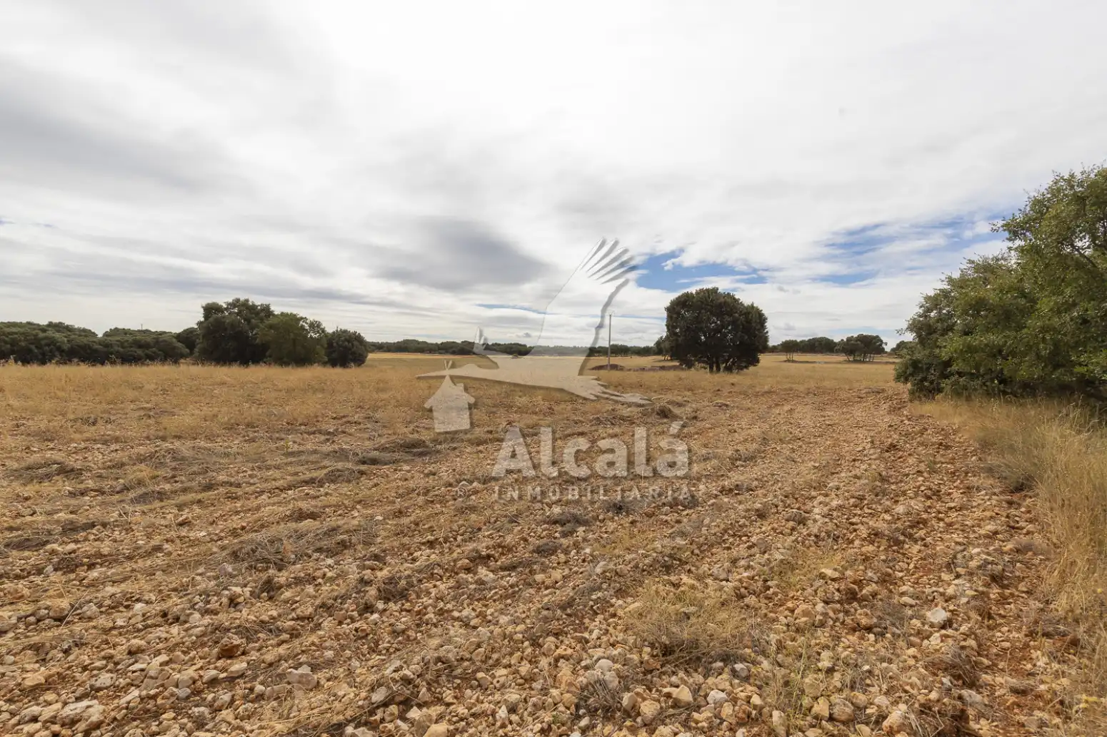 Terreny rústic en venda a Hueva, imagen 19