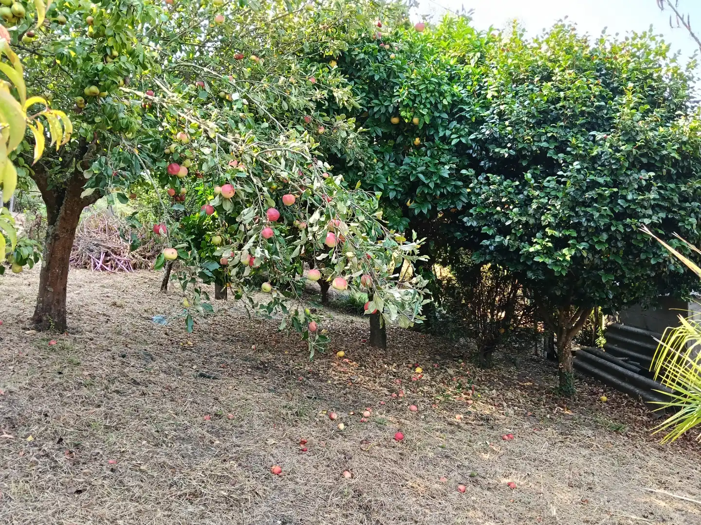 Maison avec jardin à vendre à Rúa Saavedra Meneses 87, imagen 8