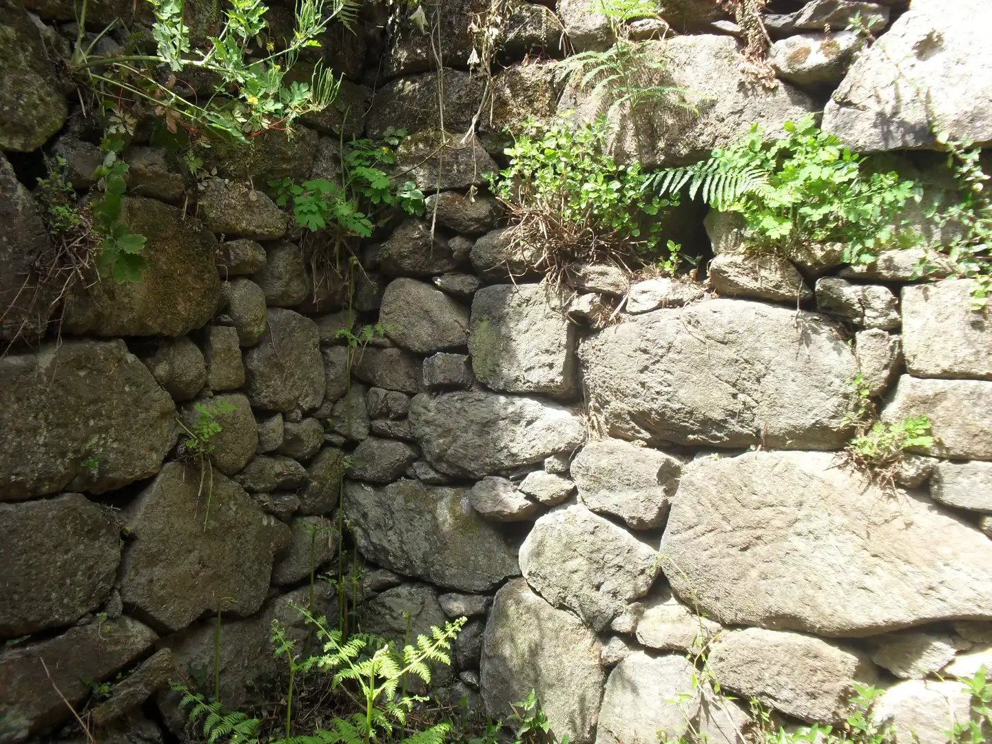 Jardí de Residencial en venda en Moaña