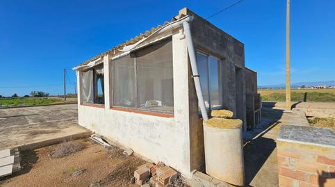 Foto 5 de Finca rústica en venda a Eucaliptus - Poble Nou del Delta, Tarragona