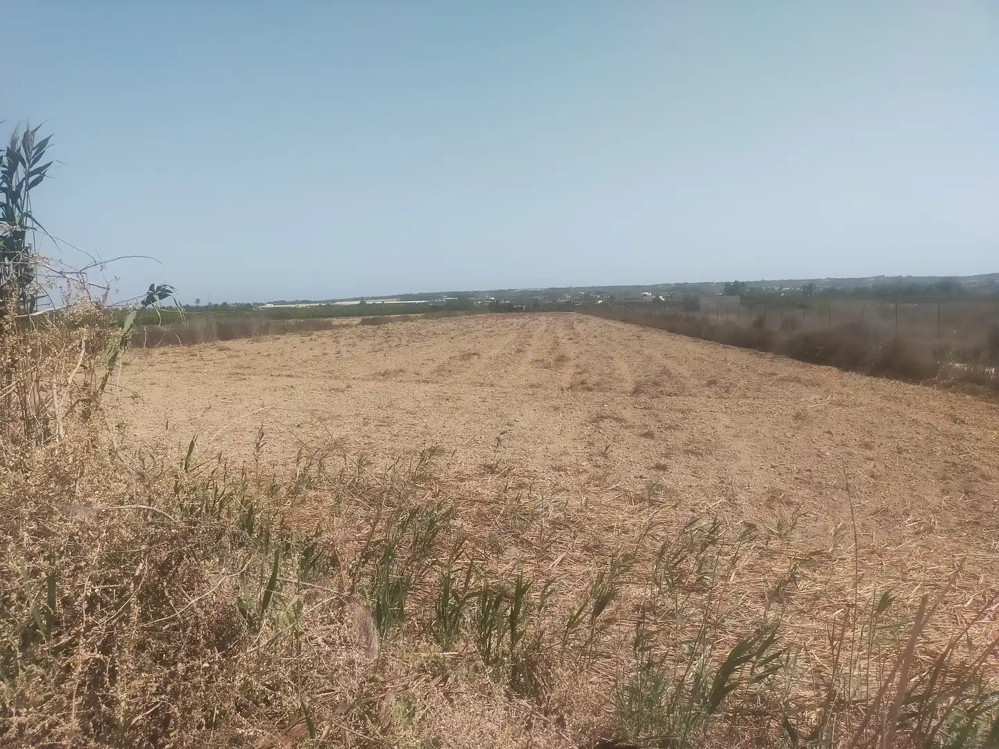 Terrain rustique à vendre à La Foia - Daimés - Asprella, imagen 2