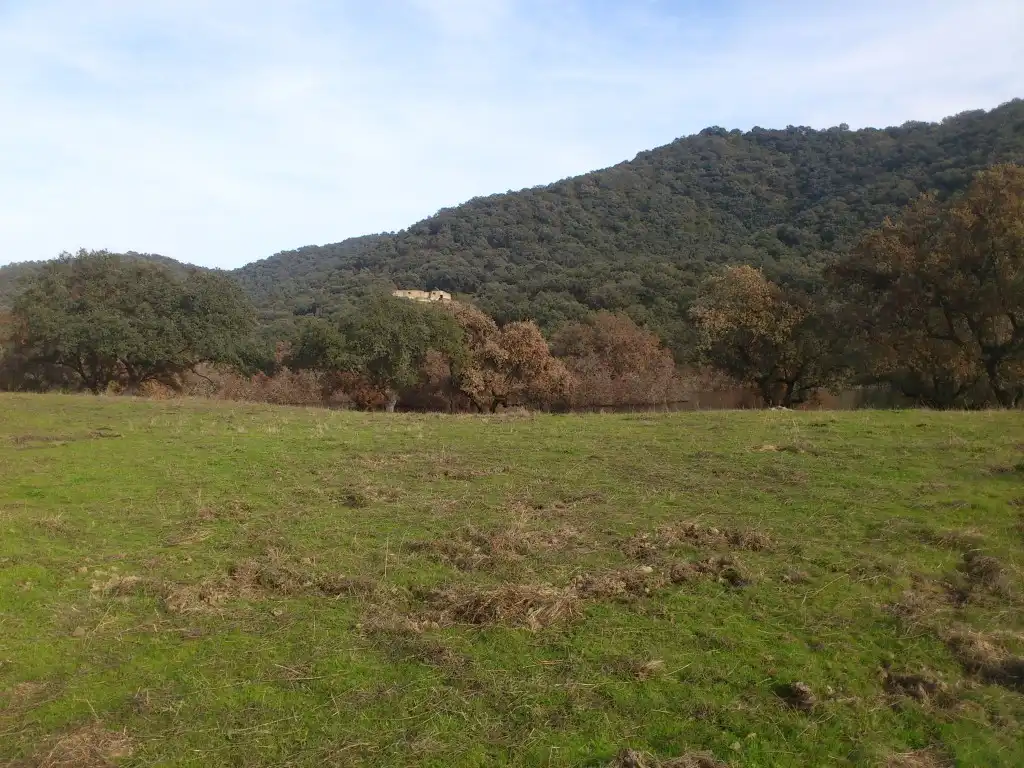 Finca rústica en venta en Almodóvar del Río con Jardín privado