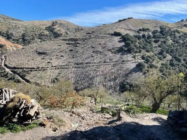 Terreni e lotti in vendita a Murtas, imagen 5