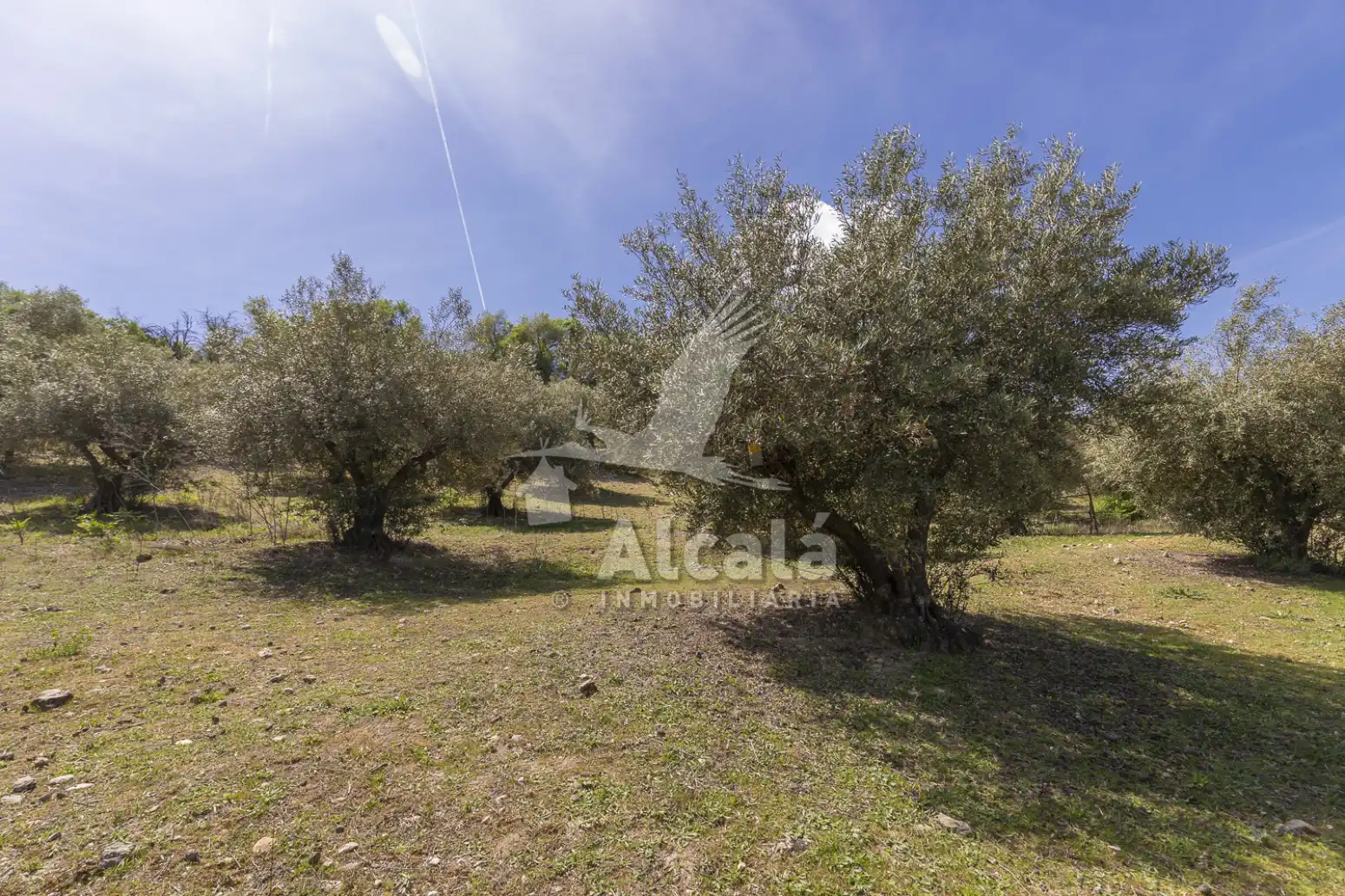 Casa o chalet en venta en Valverde de Alcalá con Calefacción, Terraza y Trastero