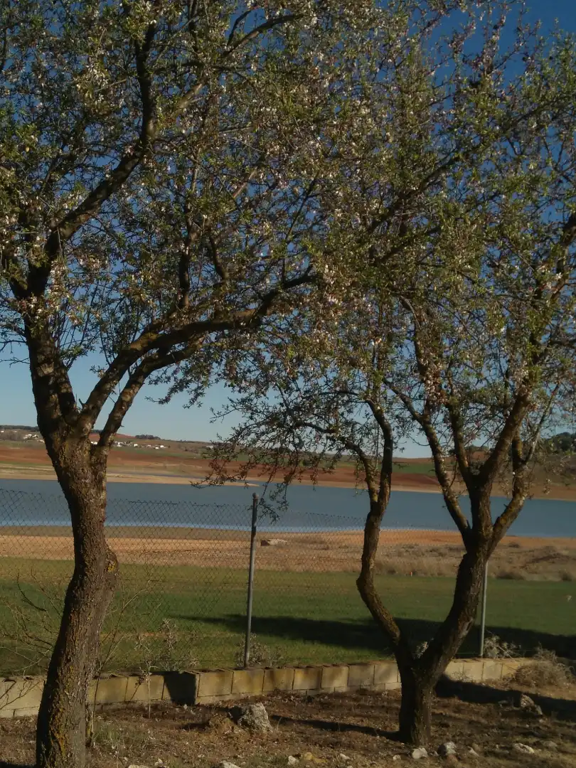 Garden of Country homes for sale in Valverde de Júcar  with Terrace, Storage room and Oven