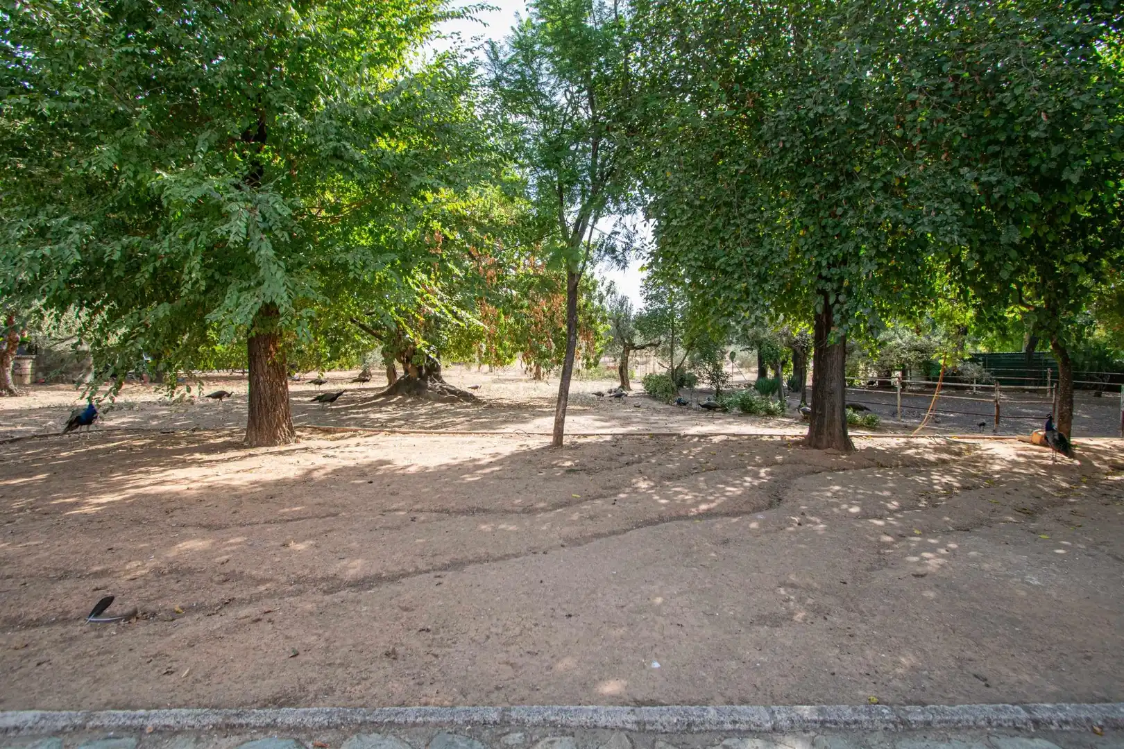 Country house zum Verkauf in Mairena del Aljarafe mit Terrasse, Schwimmbad und Balkon