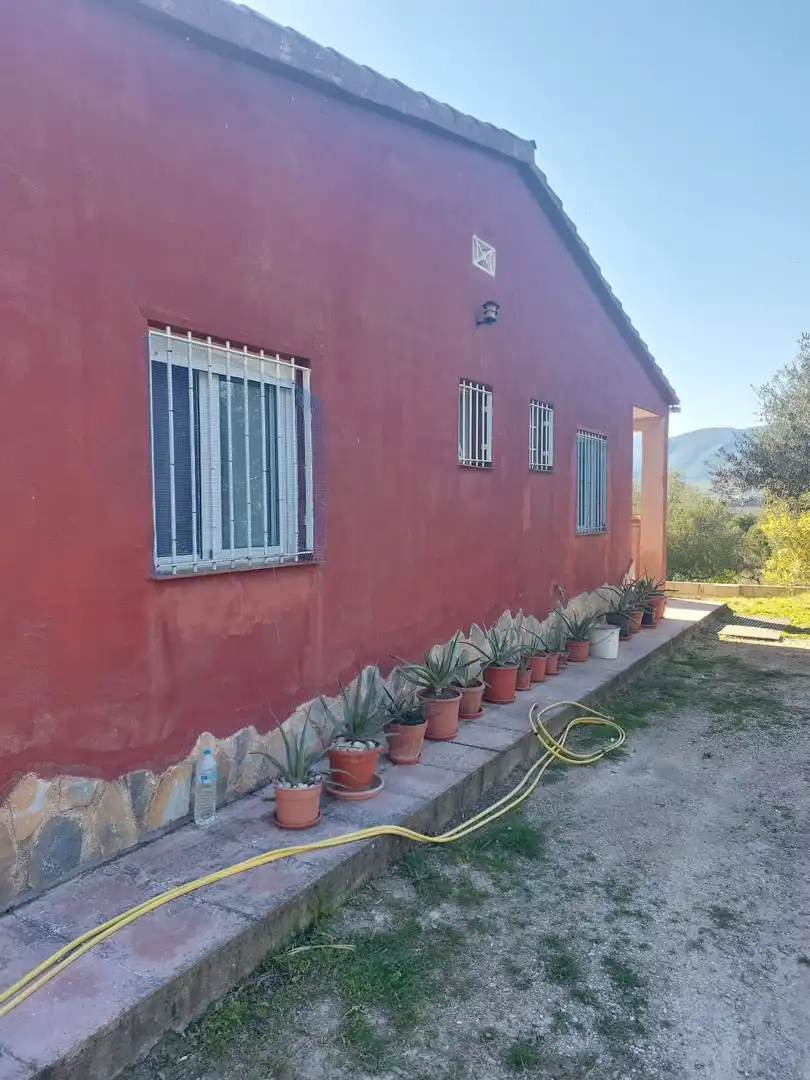 Exterior view of Houses for sale in Planes  with Air Conditioner, Private garden and Swimming Pool