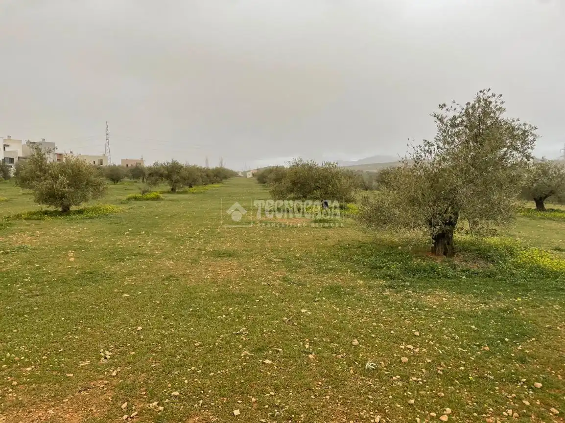 Terrenys i solars en venda a Albolote, imagen 14