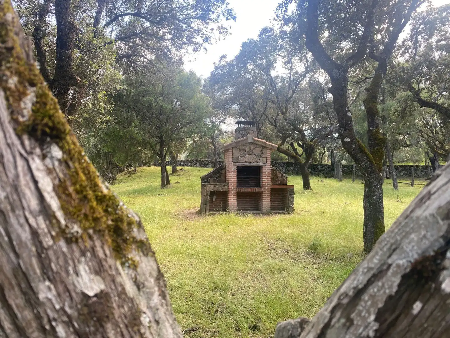 Jardín de Finca rústica en venta en El Real de San Vicente con Aire acondicionado, Calefacción y Terraza