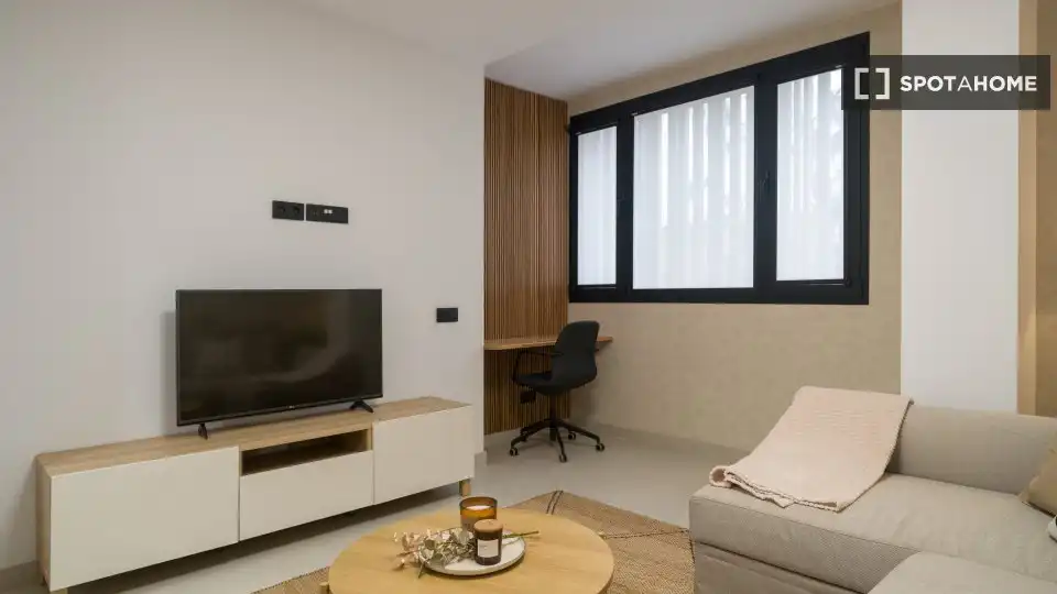 Sala d'estar de Estudi per a compartir en Las Palmas de Gran Canaria amb Aire condicionat, Terrassa i Moblat