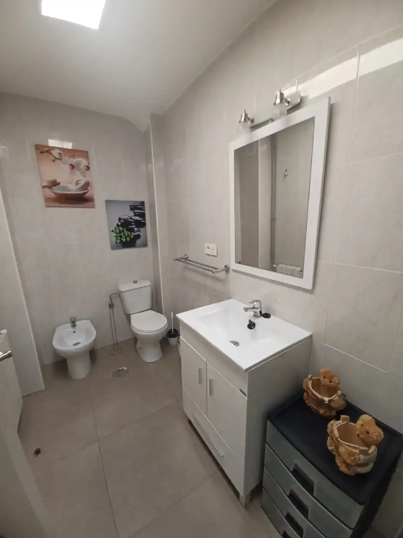 Flat with lift to rent in Calle Gran Capitán, imagen 12