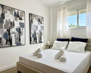 Flat to share in La Goleta - San Felipe Neri