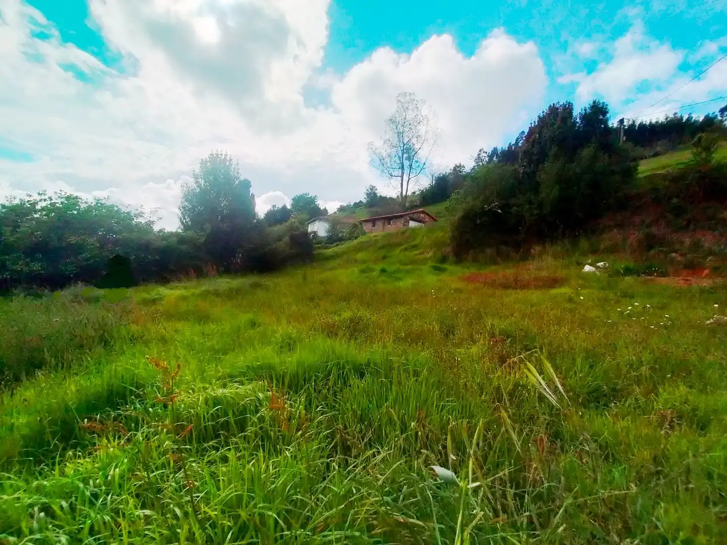Terrenys i solars en venda a Candamo, imagen 4