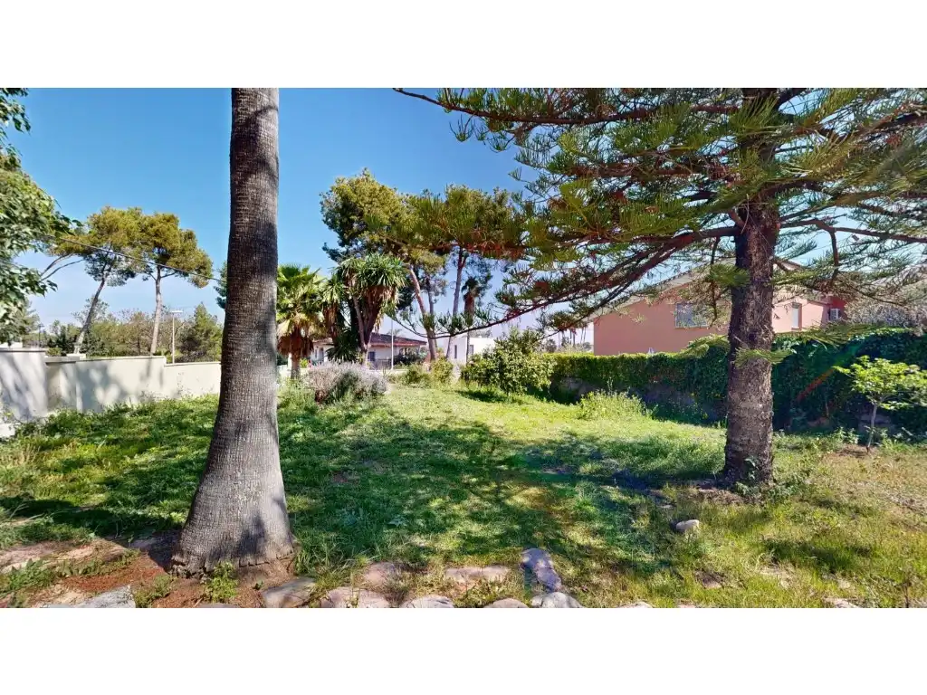 Houses for sale in Montealegre