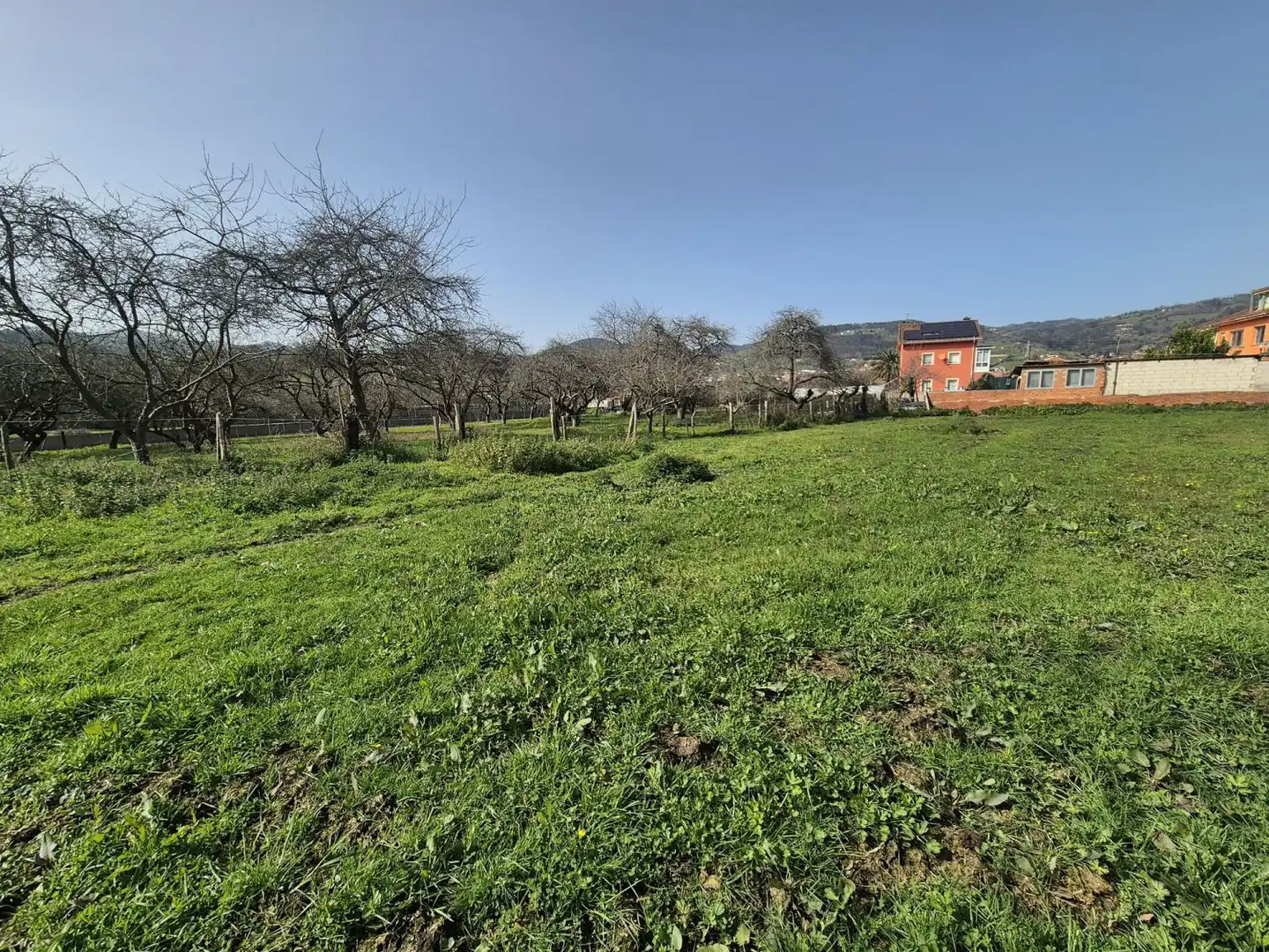 Residential land for sale in Grado, imagen 8