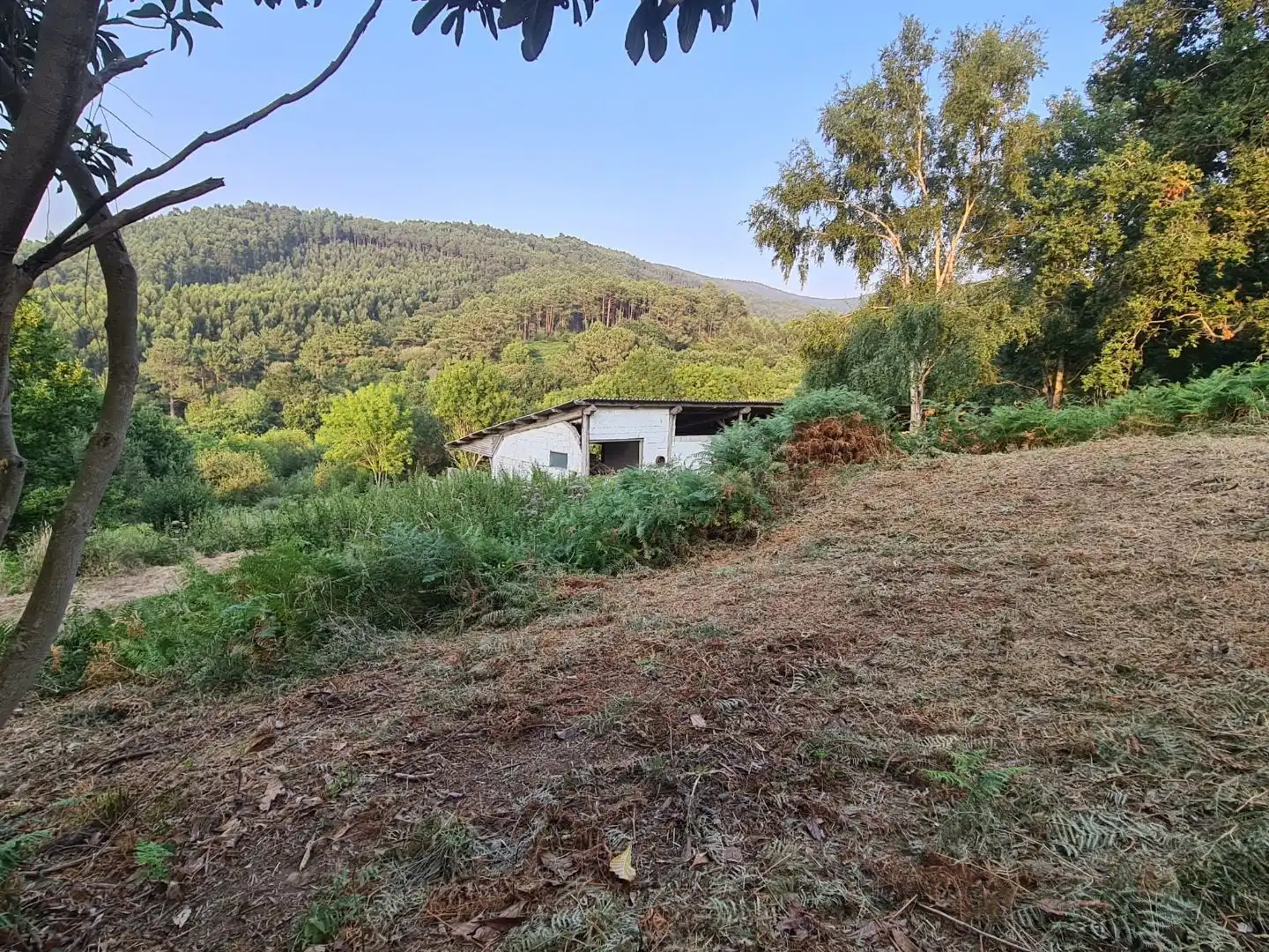 Terreno en venta en Bakio