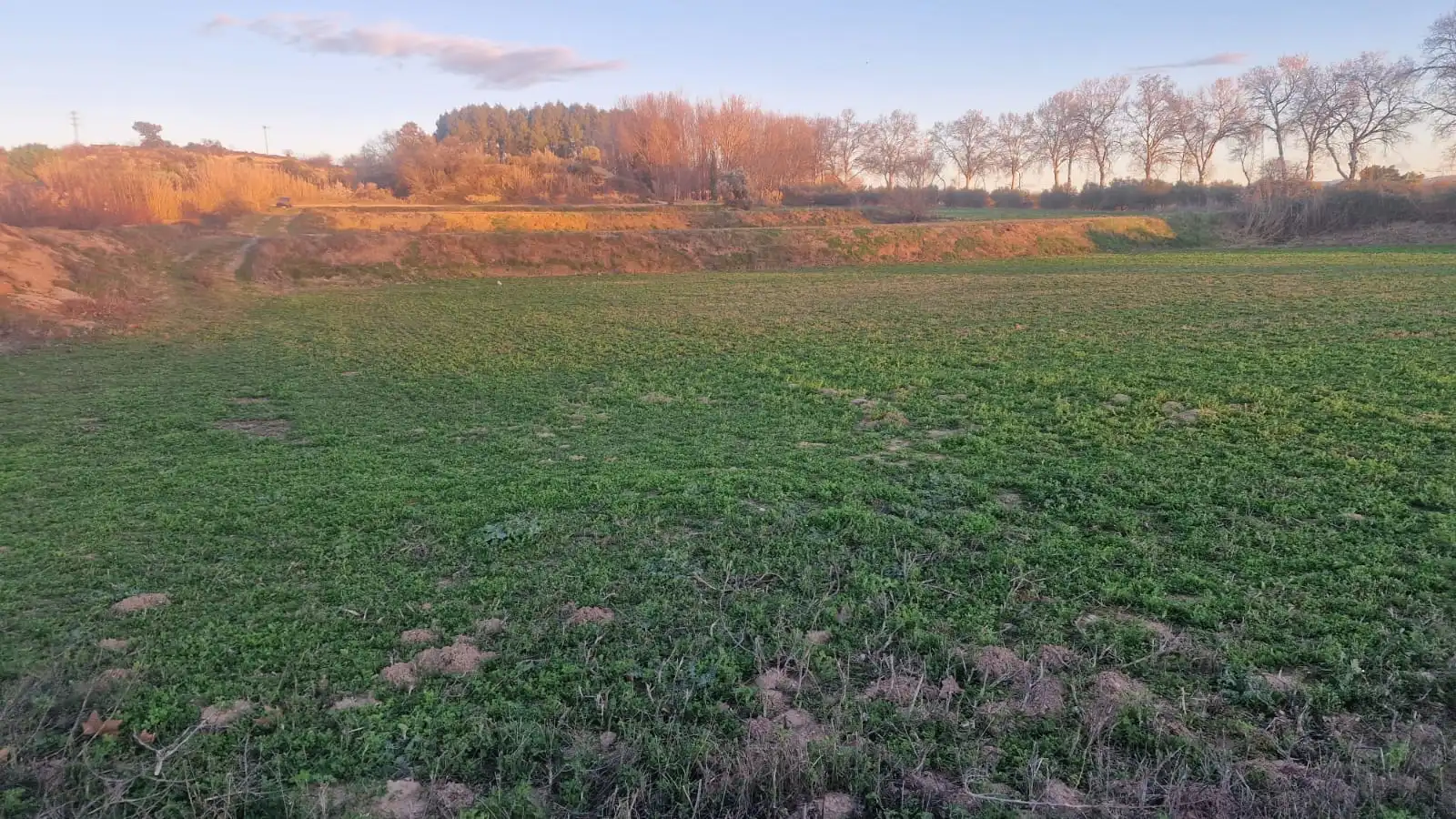 Rural land for sale in Juneda, imagen 4