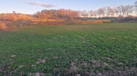 En venda finca rústica de regadiu de 17400 m2 (1’7 ha)  a Juneda (Lleida), imatge 4