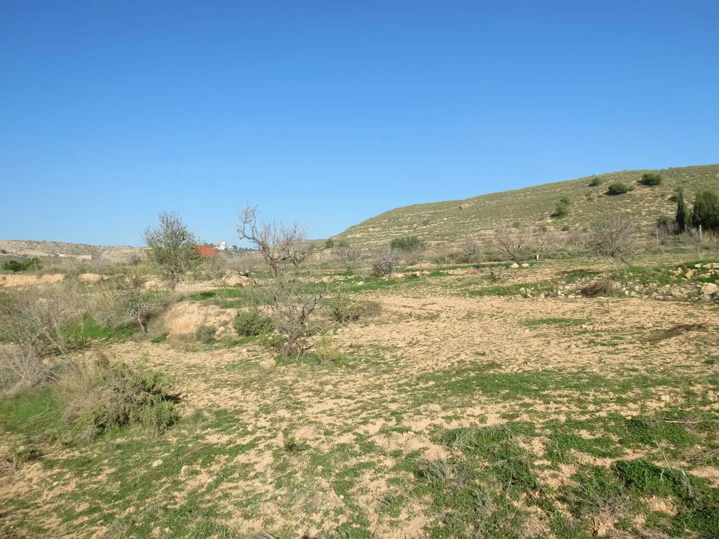 Terreni e lotti in vendita a Pedanías Oeste, imagen 18