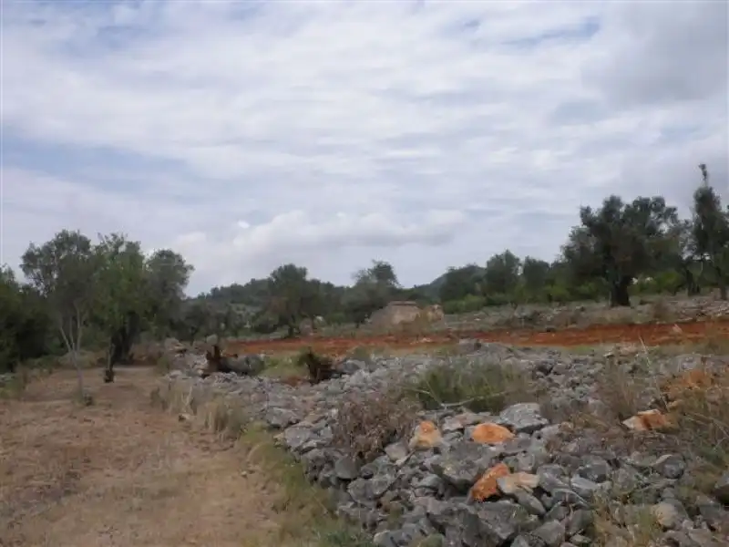 Rural land for sale in Benissa pueblo, imagen 10