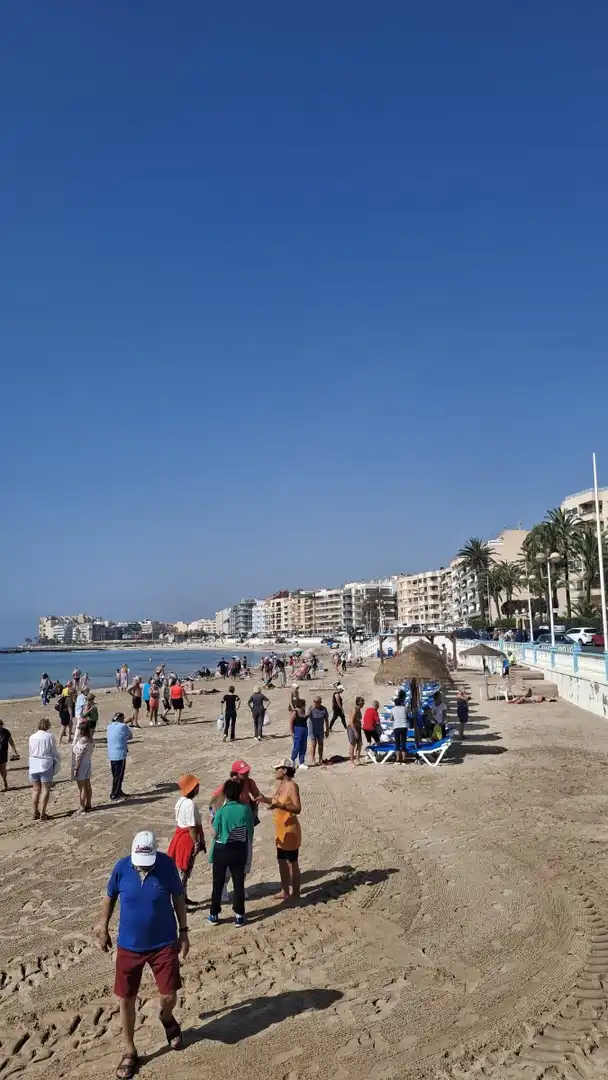 Apartamento con terraza en venta en Playa de los Locos, imagen 7
