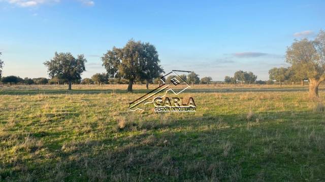 Terreno residencial en Venta en Carrascal del Obispo