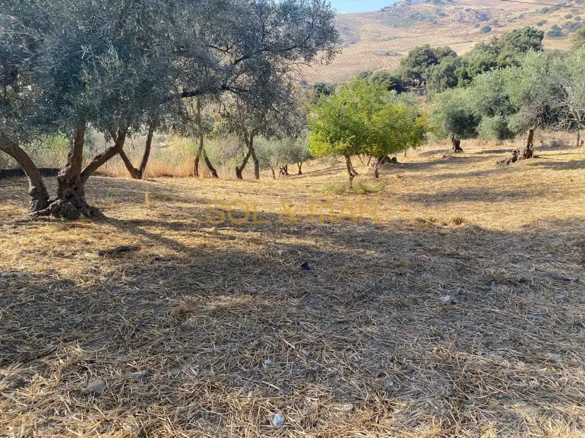 Finca rústica en venda en Antequera