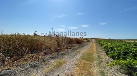 Foto 2 de Terreny en venda a Las Palmeras - Dehesilla, Sanlúcar de Barrameda