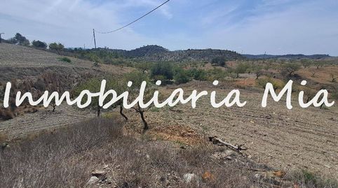 Se vende Finca con casa a reformar, imatge 2