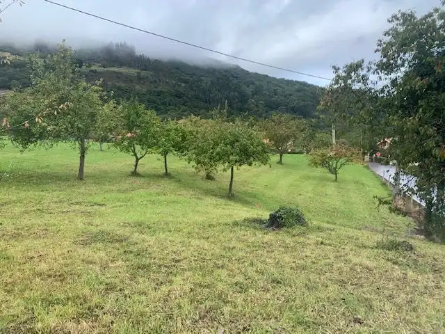 Terrenys i solars en venda a Rural, imagen 4