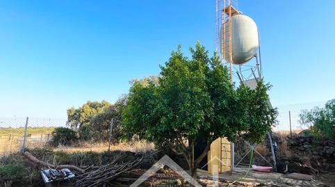 Foto 5 de Casa o xalet en venda a Castilblanco de los Arroyos, Sevilla