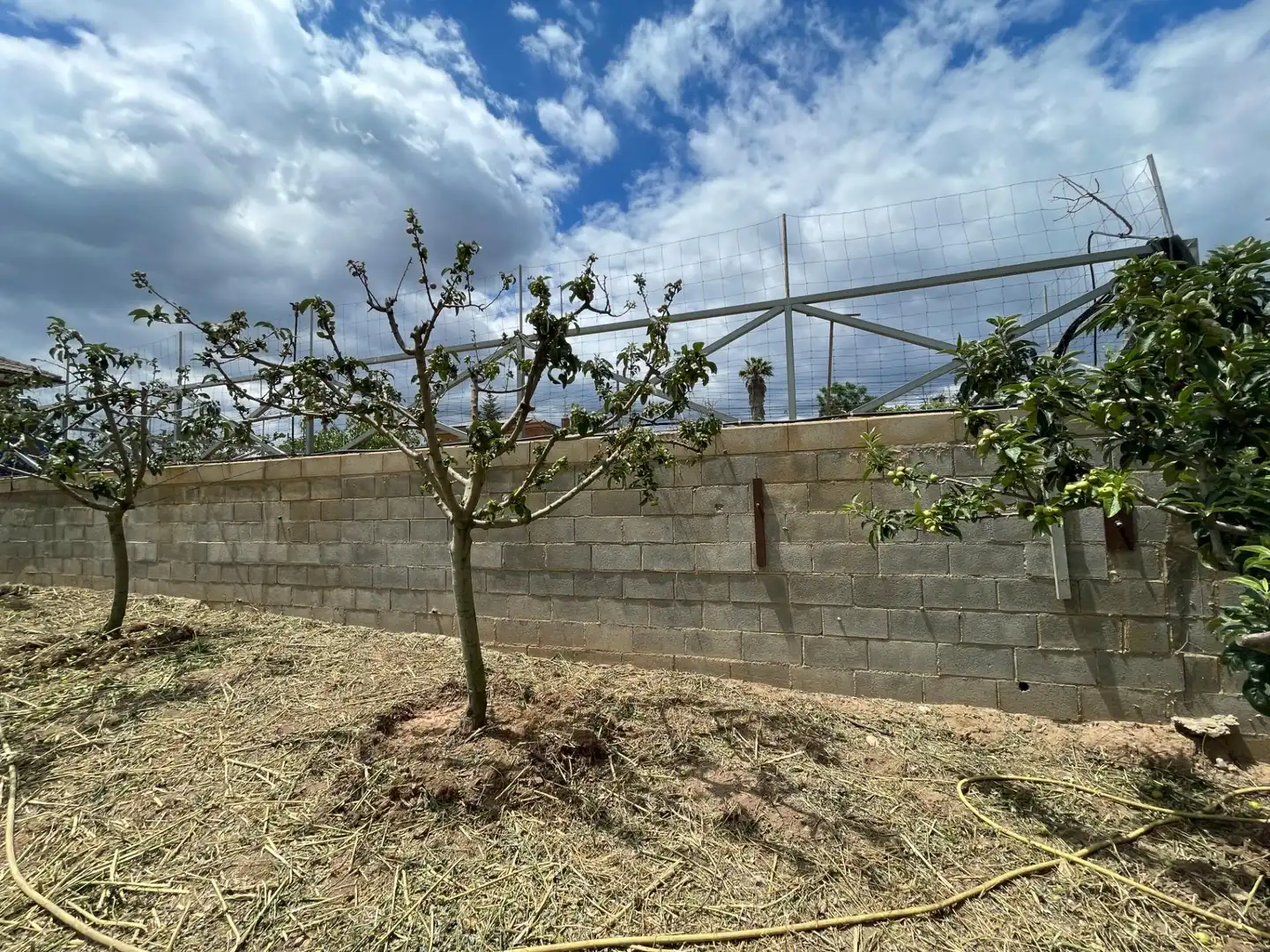 Terreni e lotti in vendita a Cabrera d'Anoia, imagen 16