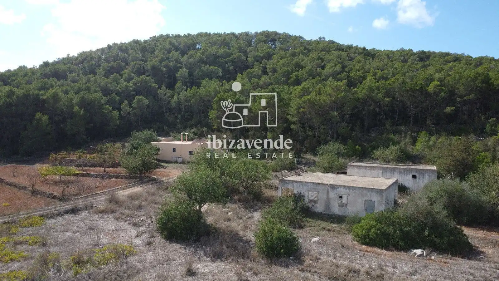 Detached house for sale in San Mateo, imagen 17