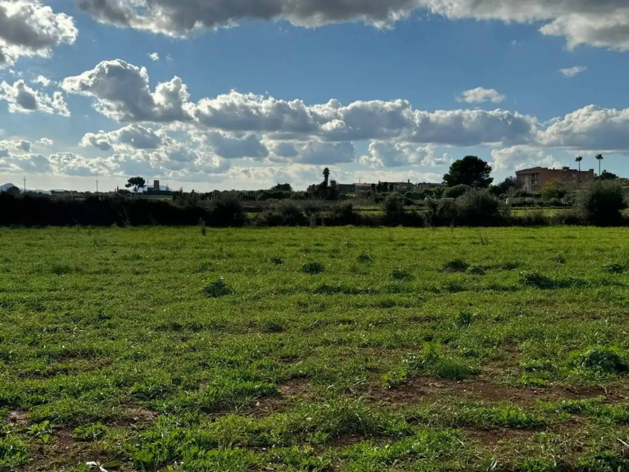 Terreny rústic en venda a Santa Margalida Poble, imagen 75