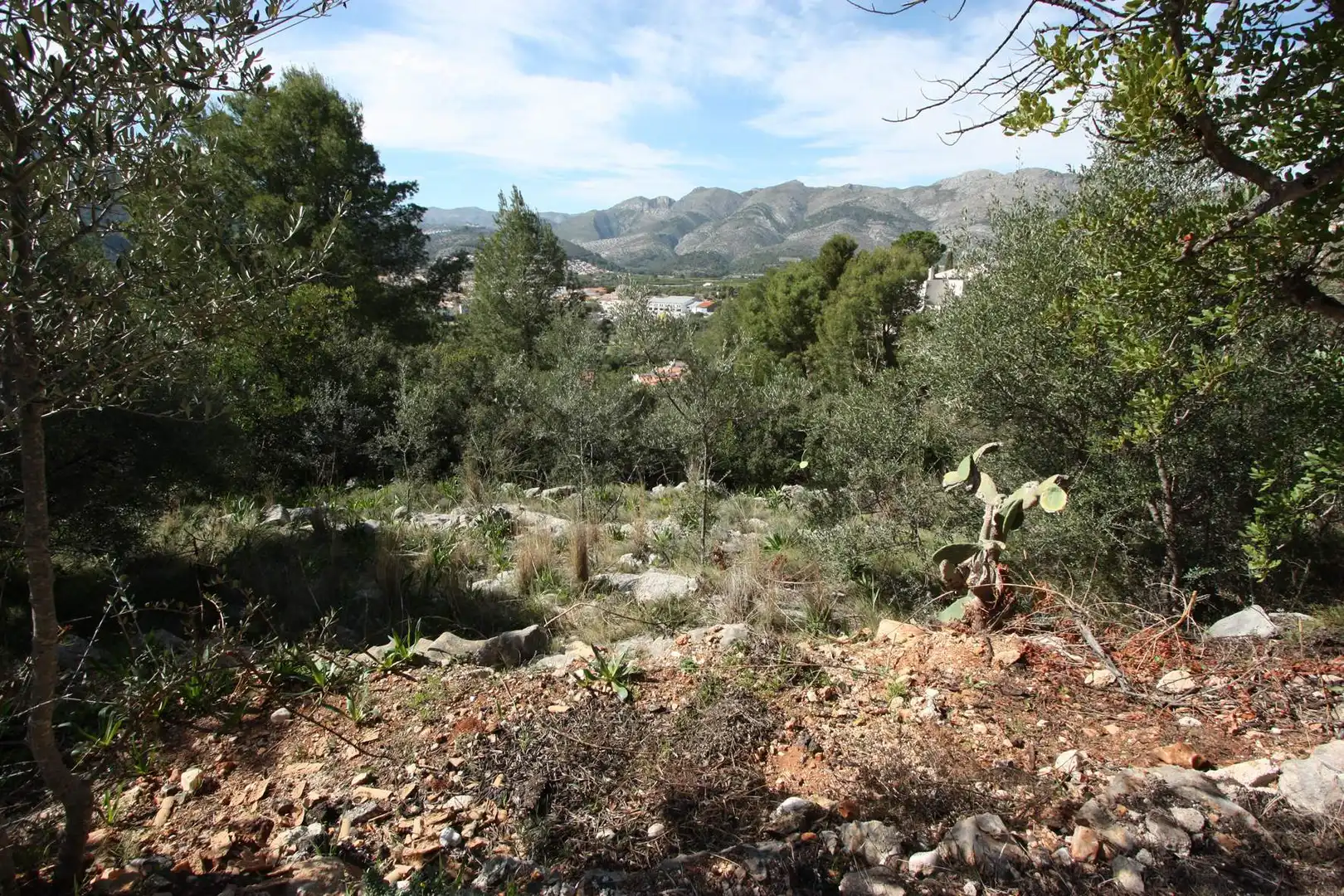 Residential land for sale in Orba, imagen 3