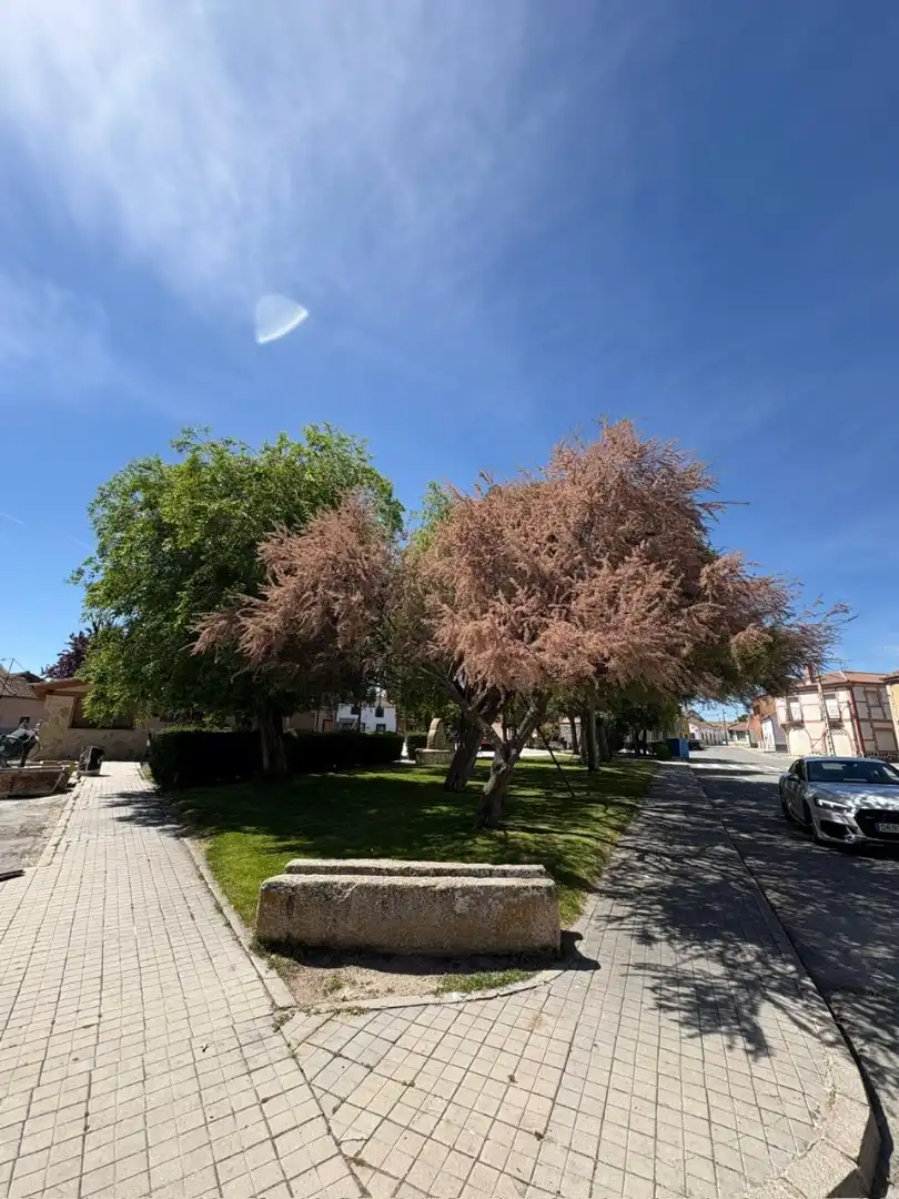 Vista exterior de Finca rústica en venda en Muñopedro amb Jardí privat, Traster i Moblat