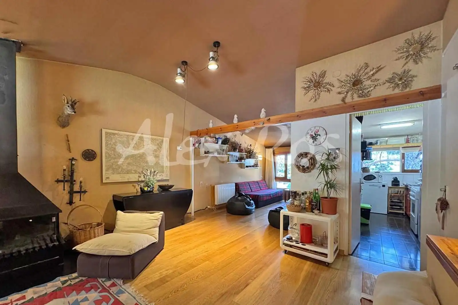 Sala d'estar de Casa o xalet en venda en Alp amb Calefacció