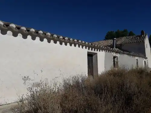 Vista exterior de Terreno en venta en Cortes de Baza