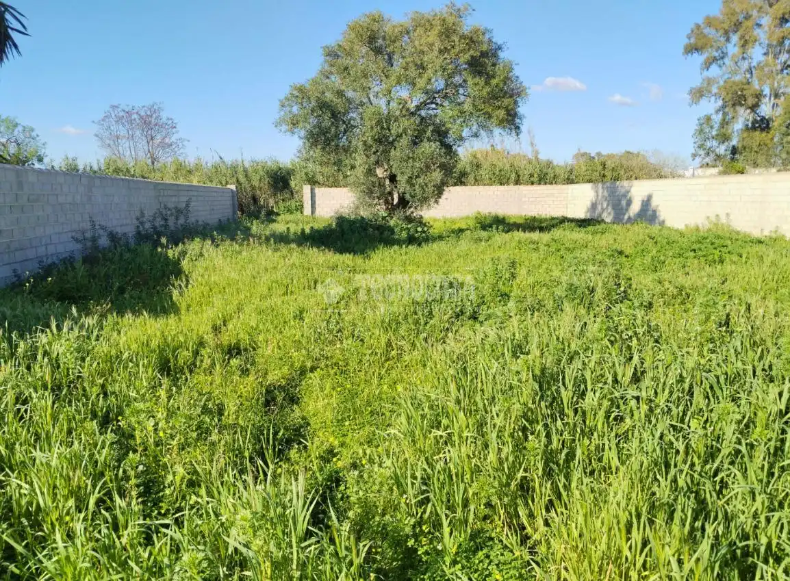 Terreno en venta en Chiclana de la Frontera