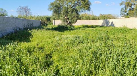 Foto 4 de Terreno en venta en La Soledad, Chiclana de la Frontera