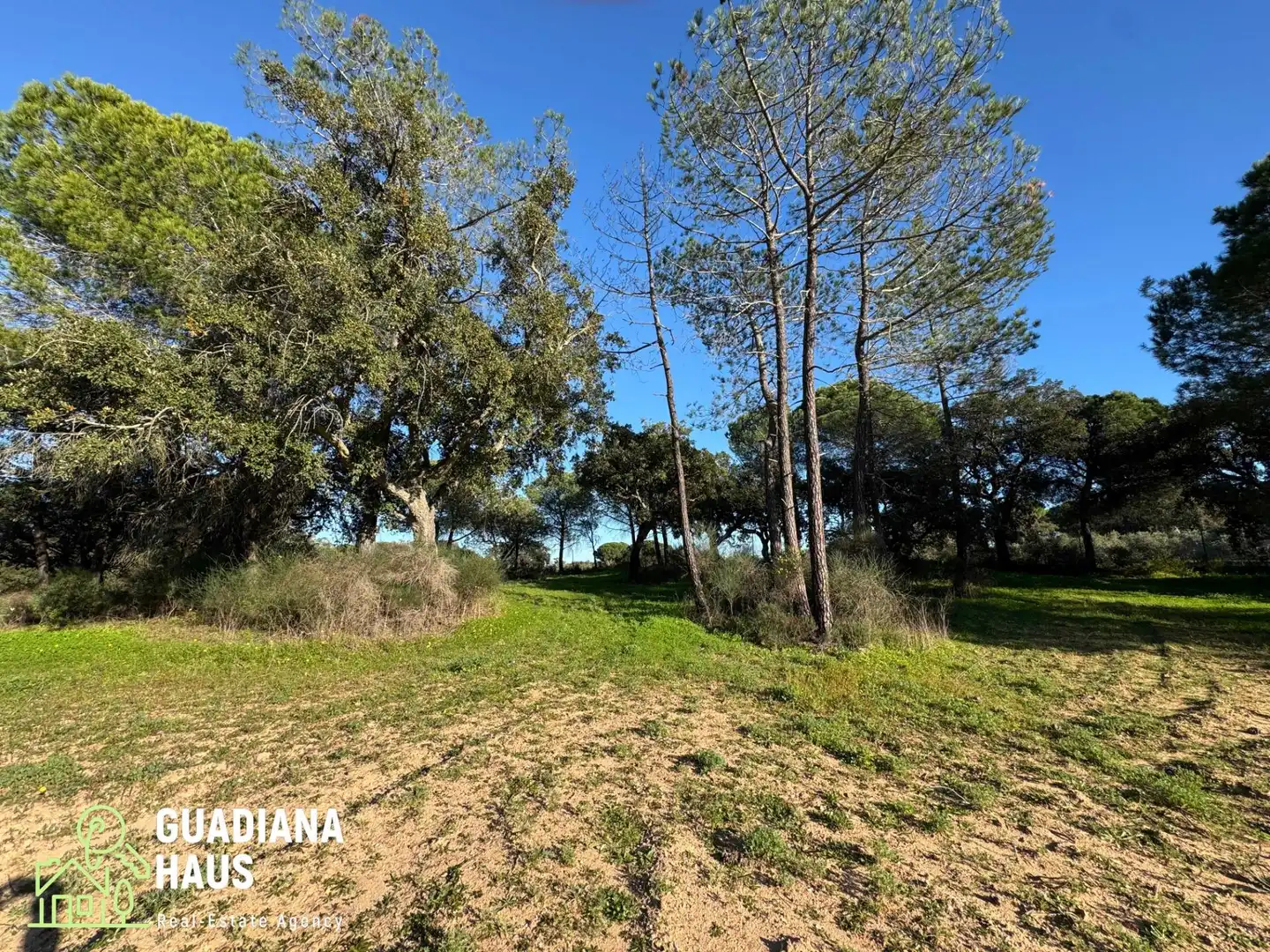 Finca rústica en venda en Villablanca