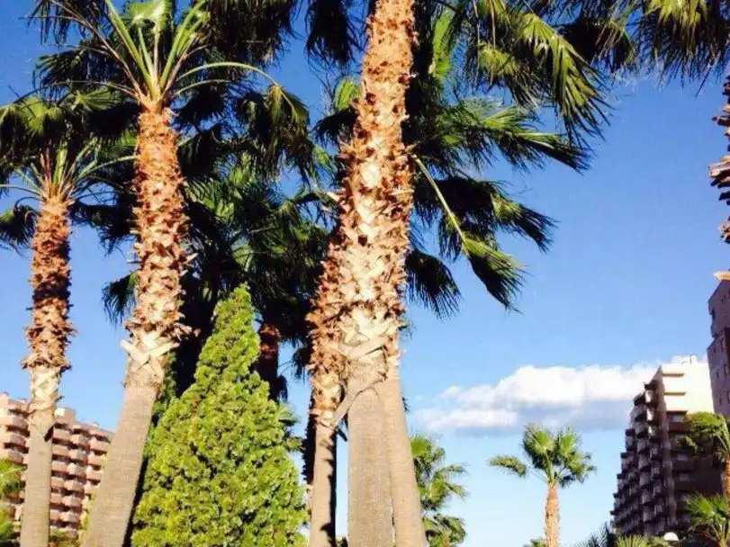Vista exterior de Piso en venta en Oropesa del Mar / Orpesa con Aire acondicionado, Terraza y Balcón
