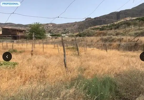 Grundstücke zum Verkauf in Alicún
