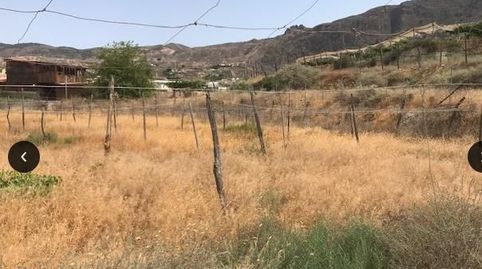 Foto 3 de Terreny en venda a Alicún, Almería