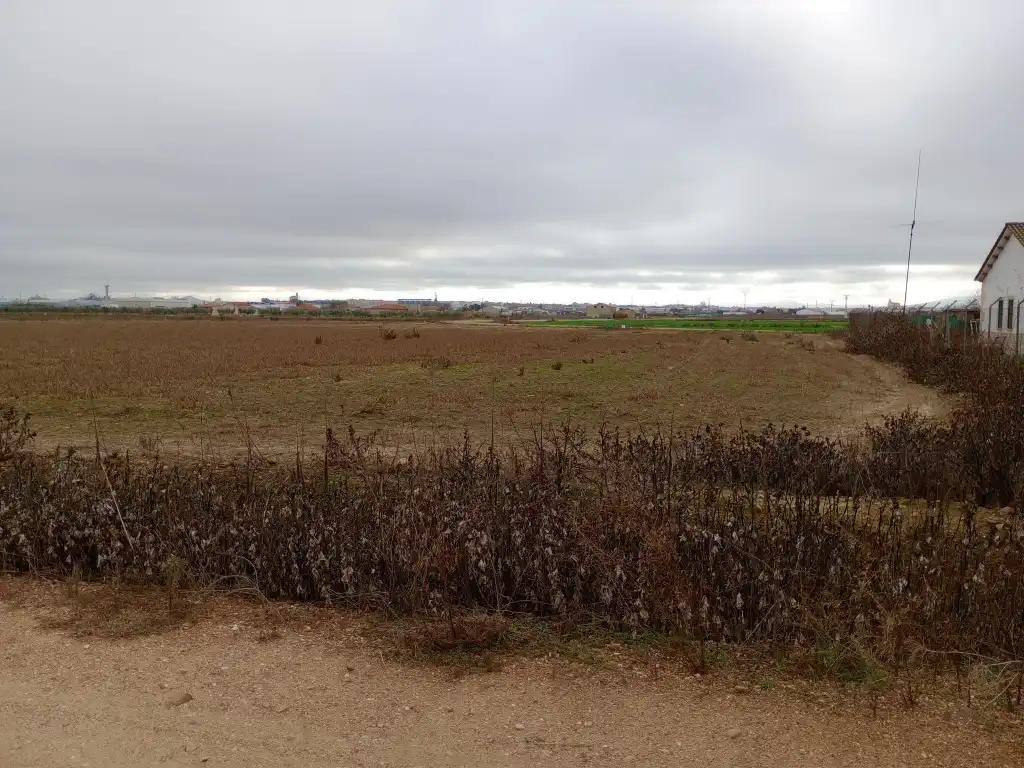 Terrain rustique à vendre à Don Benito, imagen 5