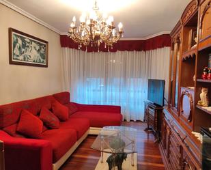 Living room of Flat for sale in Sestao 