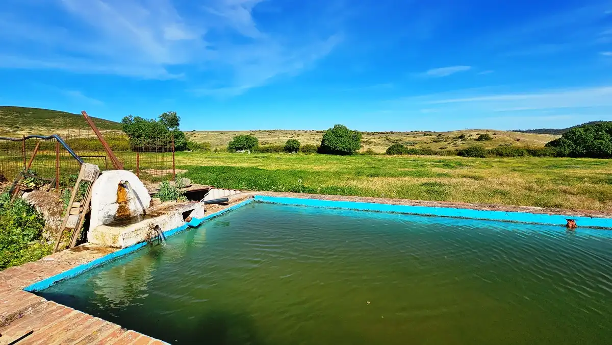 Swimming pool of Country homes for sale in Zufre  with Private garden